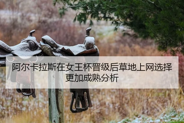 a-er-ka-la-si-zai-nv-wang-bei-jin-ji-hou-cao-di-shang-wang-xuan-ze-geng-jia-cheng-shu-fen-xi-2-130.jpg